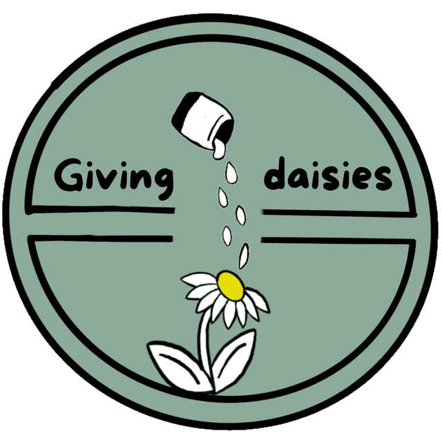 The plain daisy at Giving daisies in Scottsdale, AZ