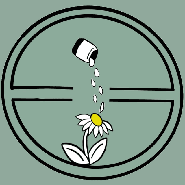 The plain daisy at Giving daisies in Phoenix, AZ